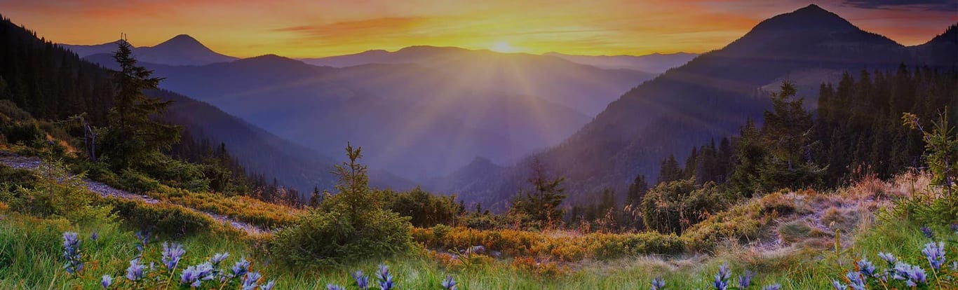 A Beautiful Nature View For Treatment Of Chronic Pain In Pikesville, MD